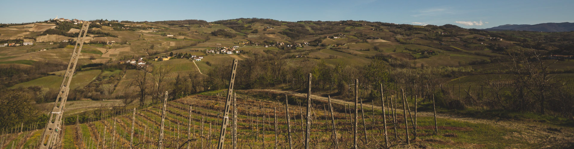 Azienda Agricola Dezza 1890 - Produttori di Vino in Oltrepò Pavese