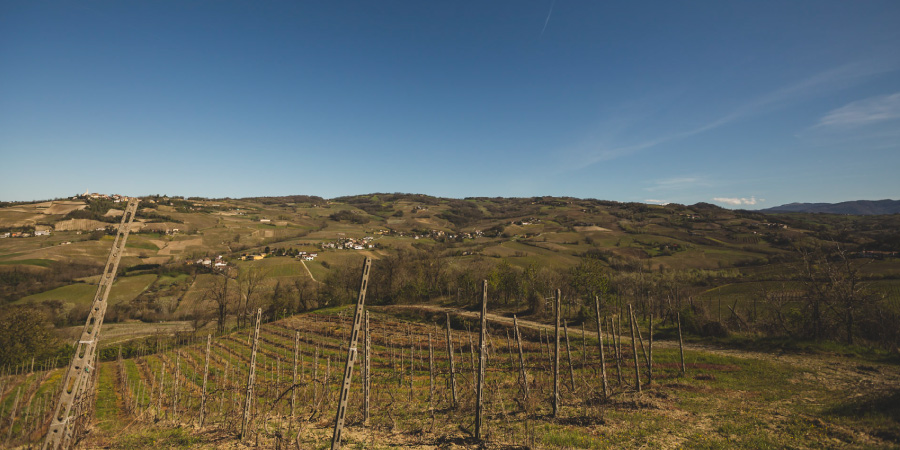 Azienda Agricola Dezza 1890 - Produttori di Vino in Oltrepò Pavese